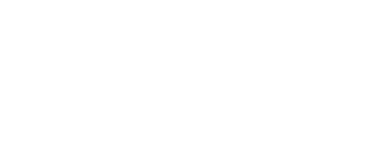 Stratégie, Financement & Innovation Durable